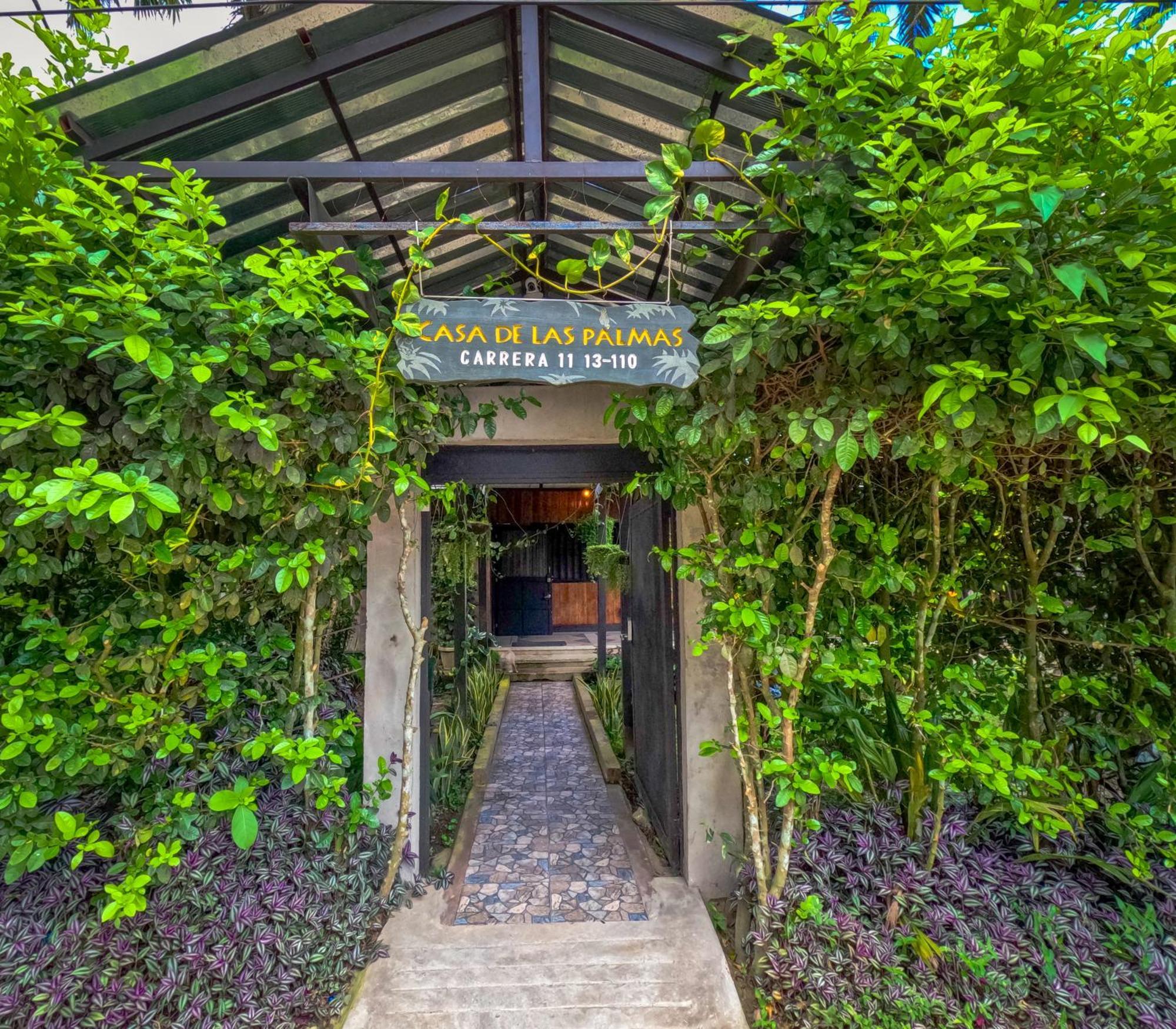 Hostel Casa De Las Palmas Tours Leticia Eksteriør bilde