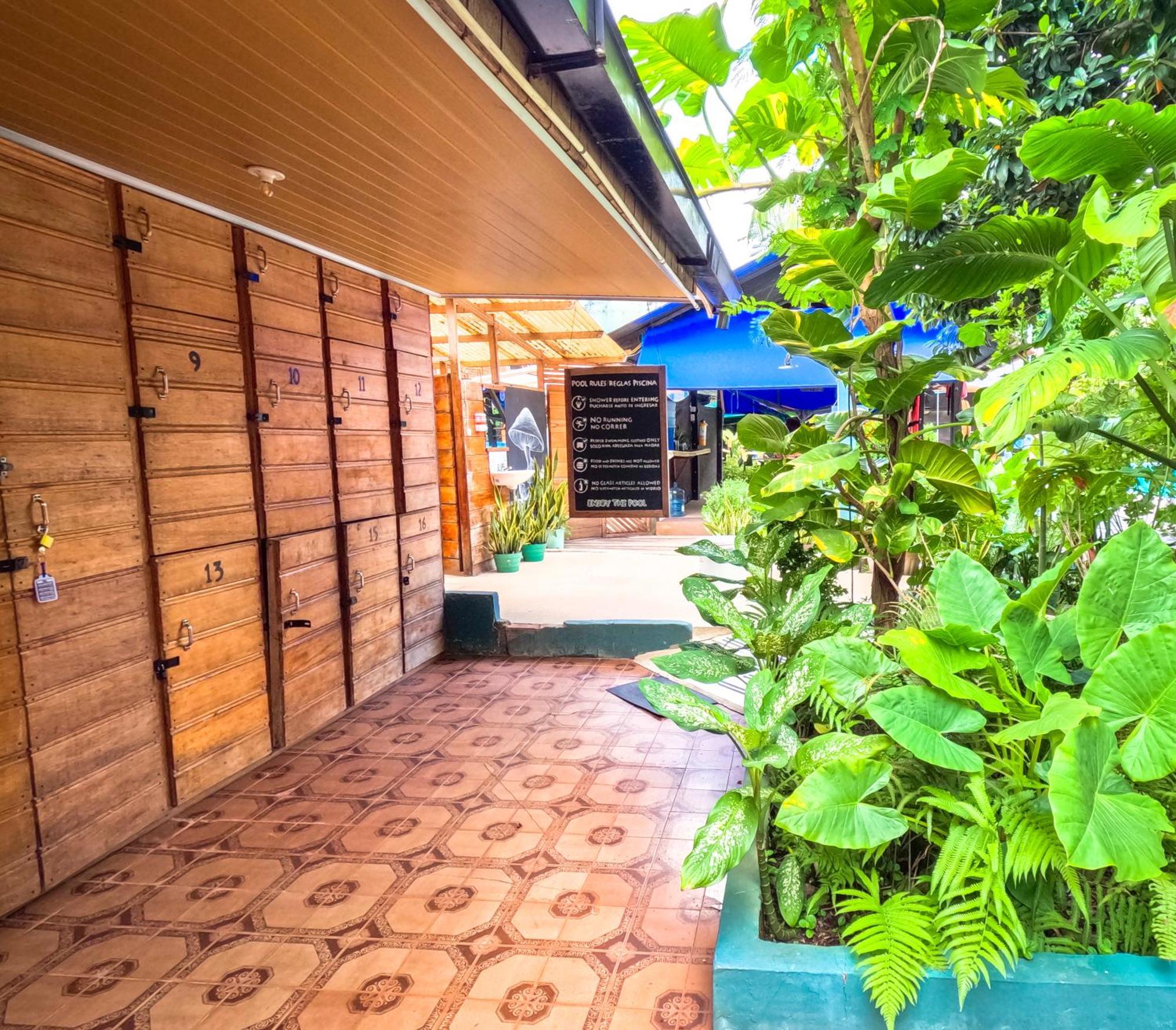 Hostel Casa De Las Palmas Tours Leticia Eksteriør bilde