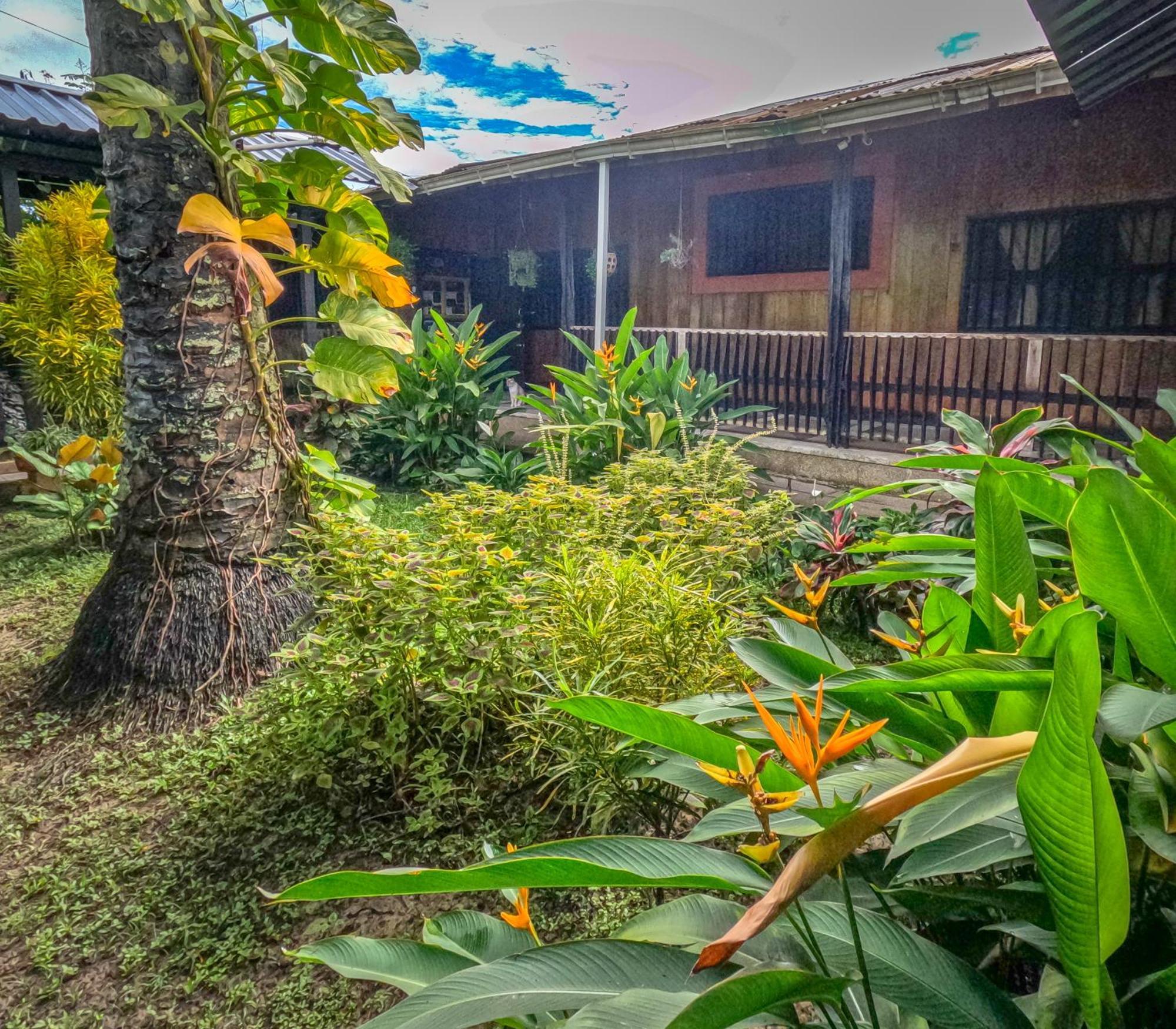 Hostel Casa De Las Palmas Tours Leticia Eksteriør bilde
