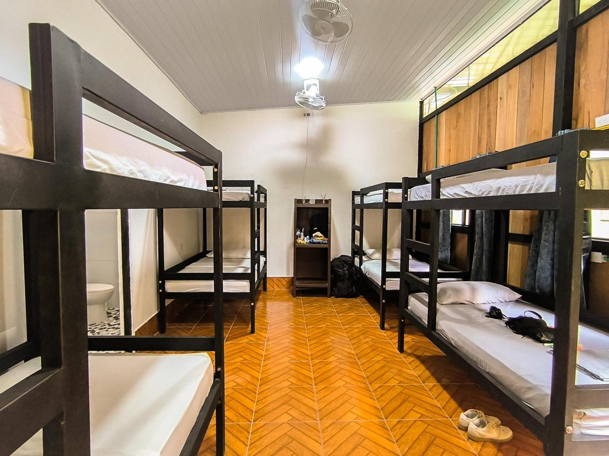 Hostel Casa De Las Palmas Tours Leticia Eksteriør bilde